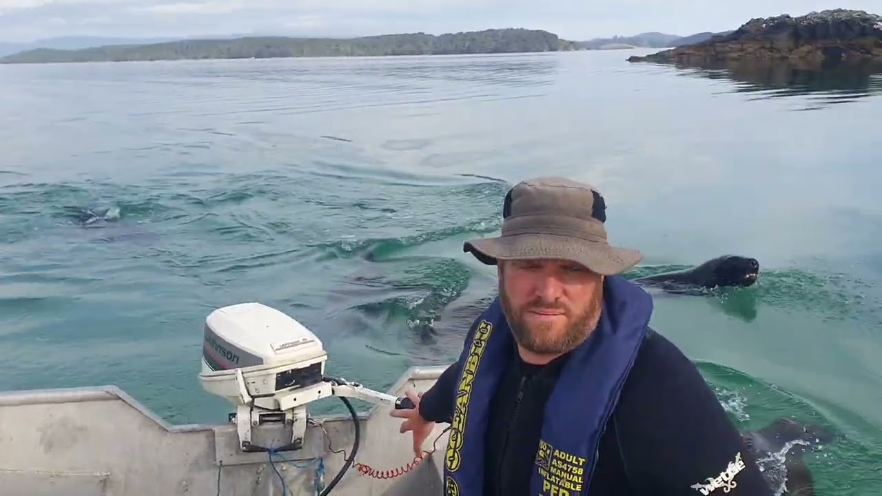 Stewart Island. January 2022