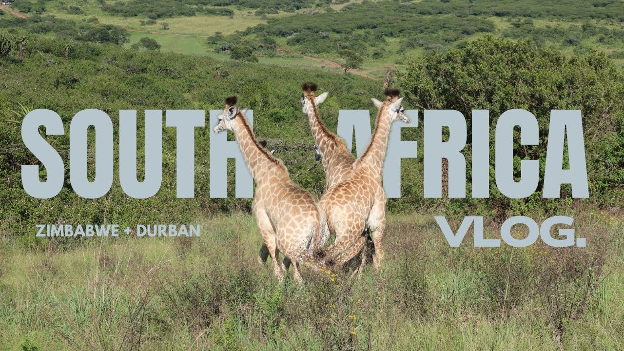 Zimbabwe + Durban