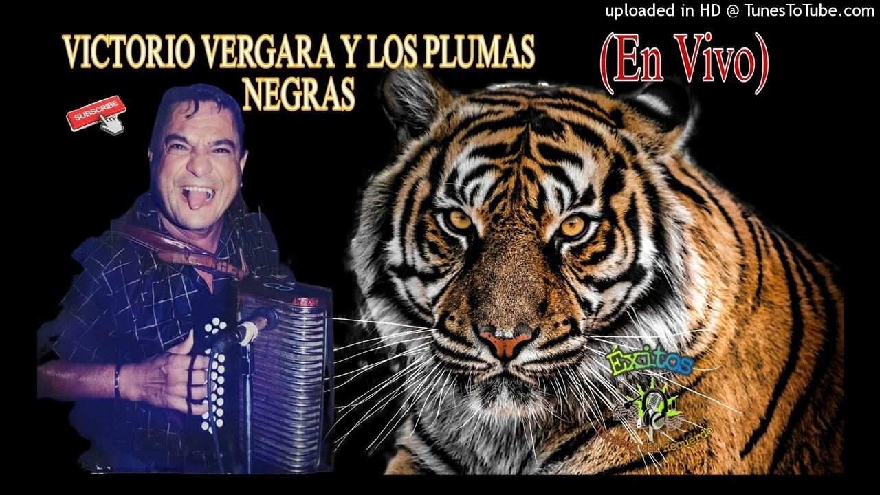 (EN VIVO) Protegido Amor_Victorio Vergara, Nenito y Los Plumas Negras