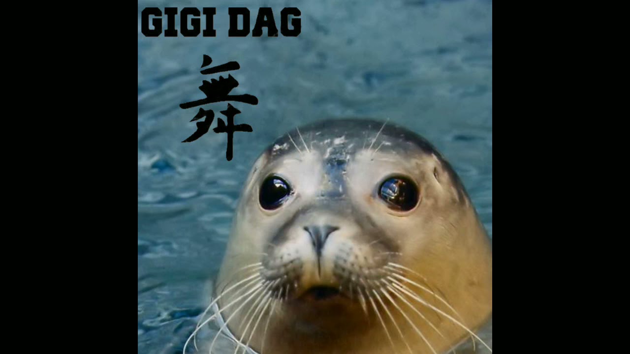 Gigi D'Agostino - Foca Loca