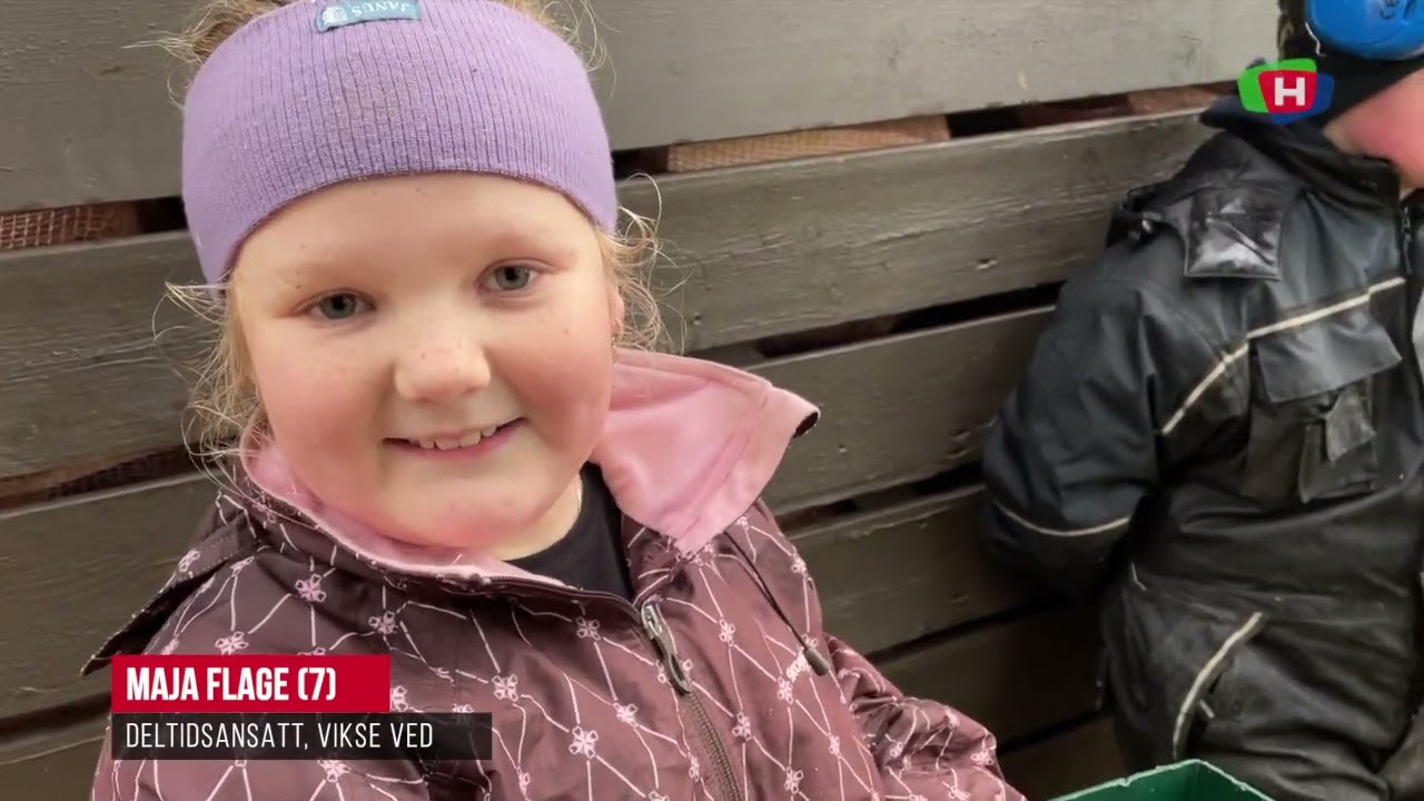 Møt vedgutta på Vikse