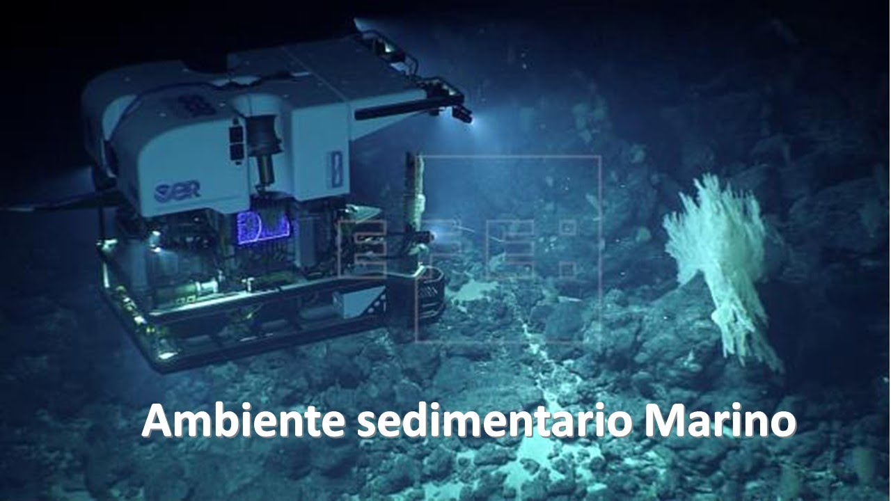 Ambiente sedimentario marino