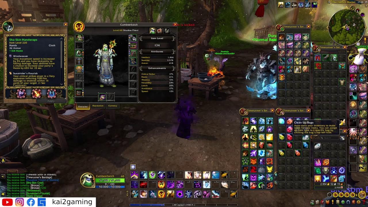 LV 40 ALLIED PRIEST - VALLEY OF THE FOUR WINDS | WOW Remix: Mist of Pandaria