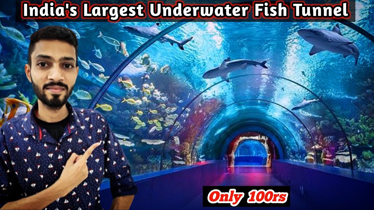 India's Largest Underwater Fish Tunnel 🐠 Borivali Aquarium Tunnel 🔥 NV Nitesh Makwana Vlogs