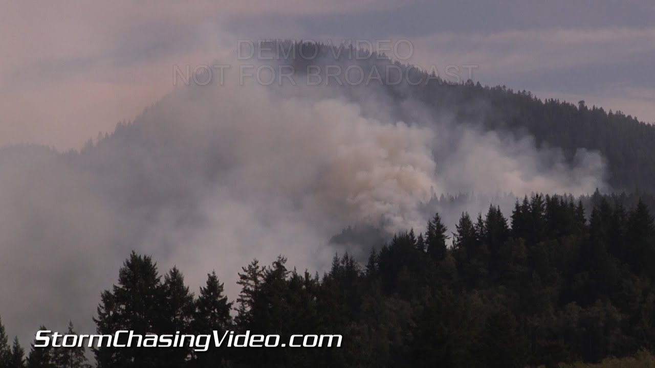 8/26/2015 Ashford, WA Wildfire Dense Smoke Plumes