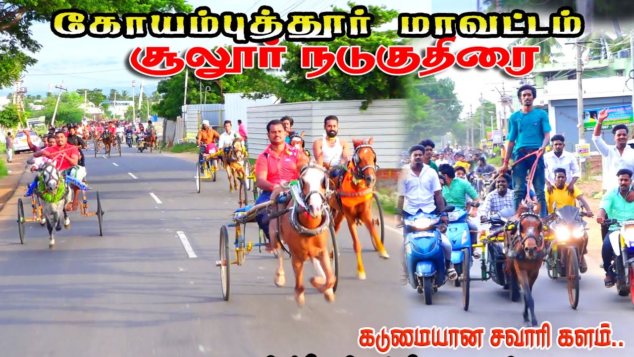 1கோயம்புத்தூர் மாவட்டம் சூலூர் நடுக்குதிரை 28/-7.2024