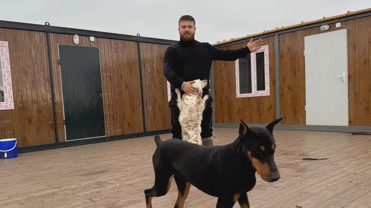 &Egrave; arrivato il nuovo container, la fattoria &egrave; ancora pi&ugrave; bella! Natasha ha partorito