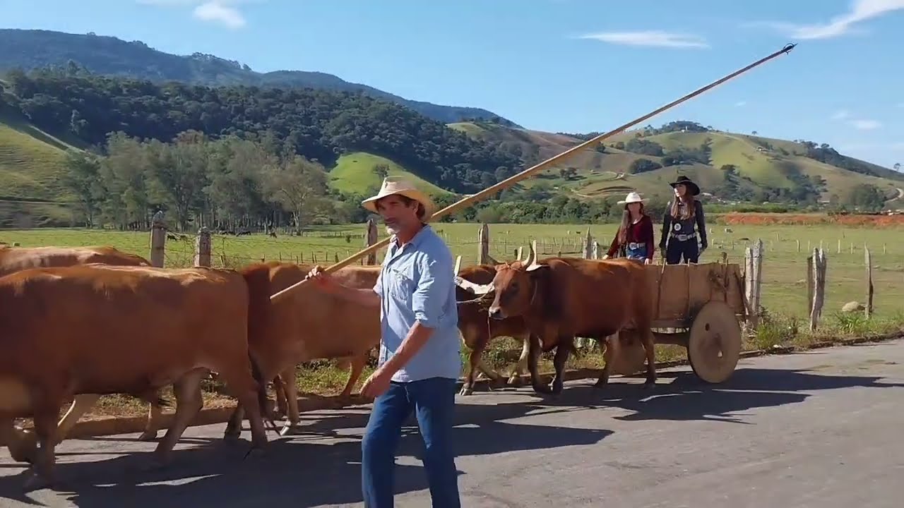 Congonhal mg DESFILE DE CARROS DE BOI NA ÍNTEGRA TODOS OS CARREIROS TRADIÇÃO DE DÉCADAS