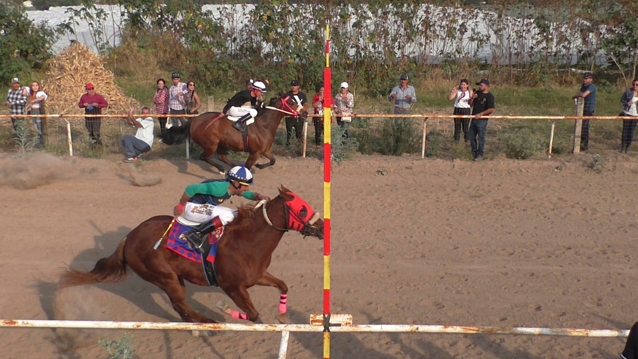 37 carril Copalita,zapopan