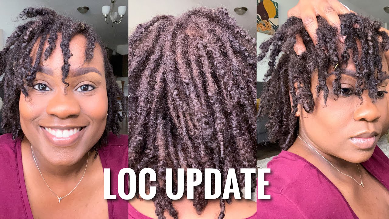 7 & 8 MONTH LOC UPDATE | TWO STRAND TWIST STARTER LOCS