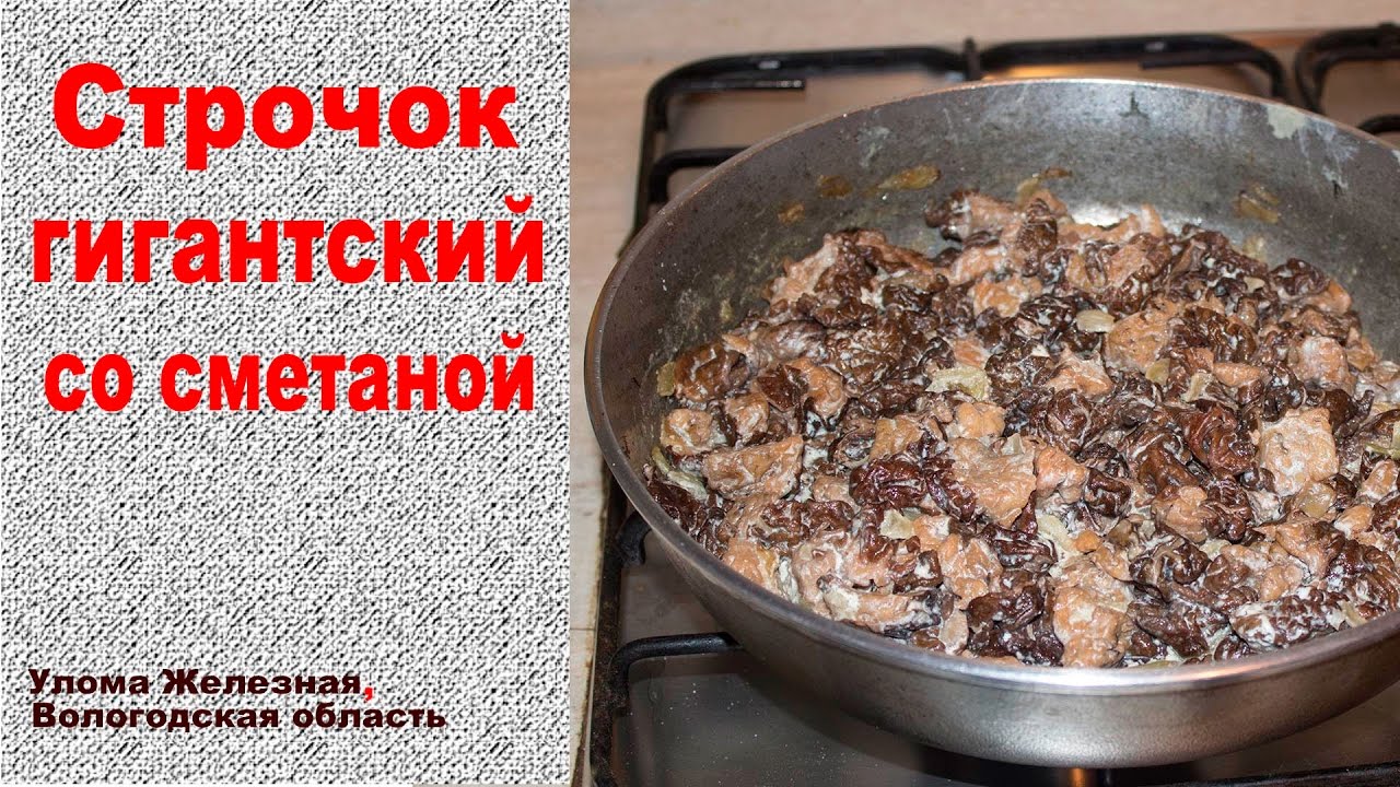 Строчки гигантские со сметаной -  весенний деликатес!