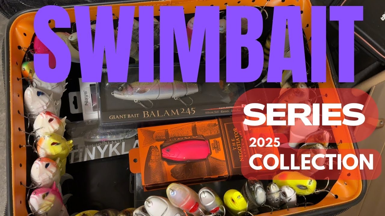 Серия Swimbait 2025 — Коллекция и действия в воде