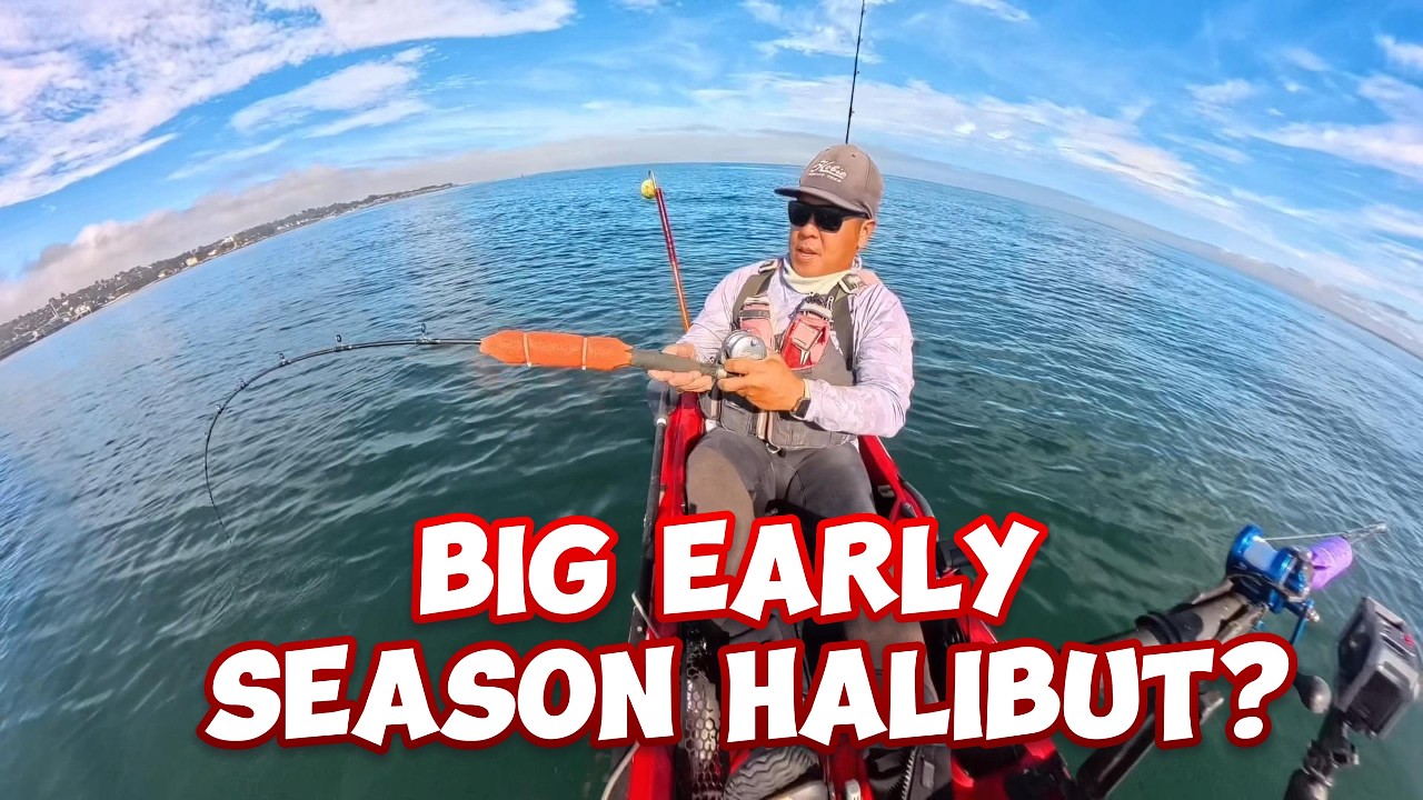 Are they HERE yet? | Early Season Halibut Fishing