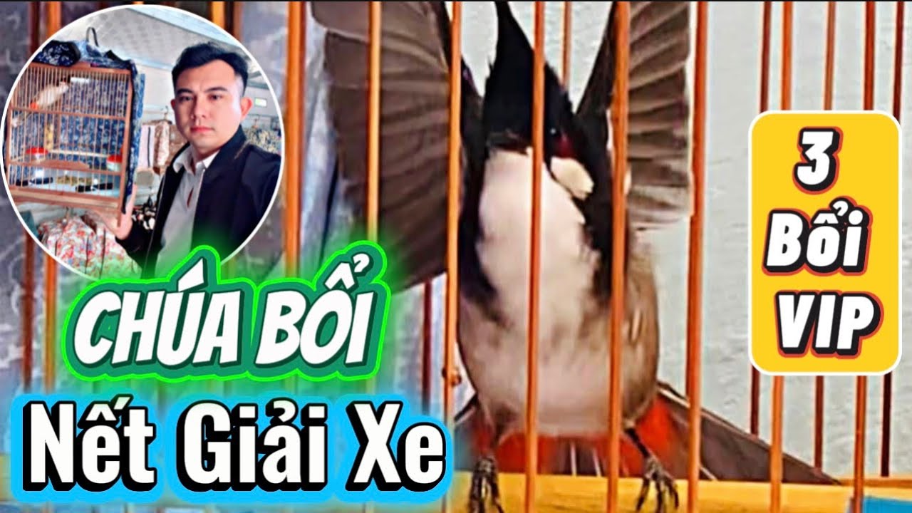 BỔI GIẤC MƠ | CẦU NHƯ GIÓ ĐÁNH NHƯ CÁI MÁY | 3 BỔI VIP ĐÁNG TIỀN CHO AE DỰNG MÓC SỐ SĂN GIẢI