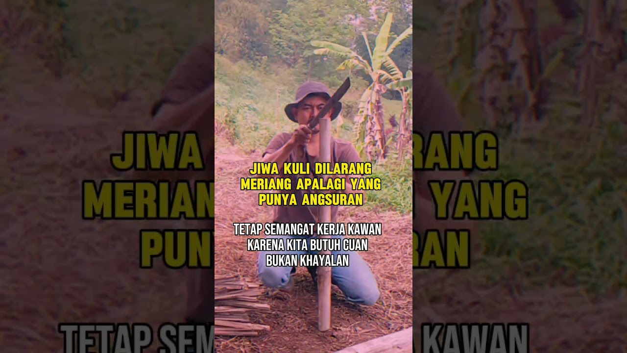 Di trendingkan kawan #liriklagu #music #musik #cover