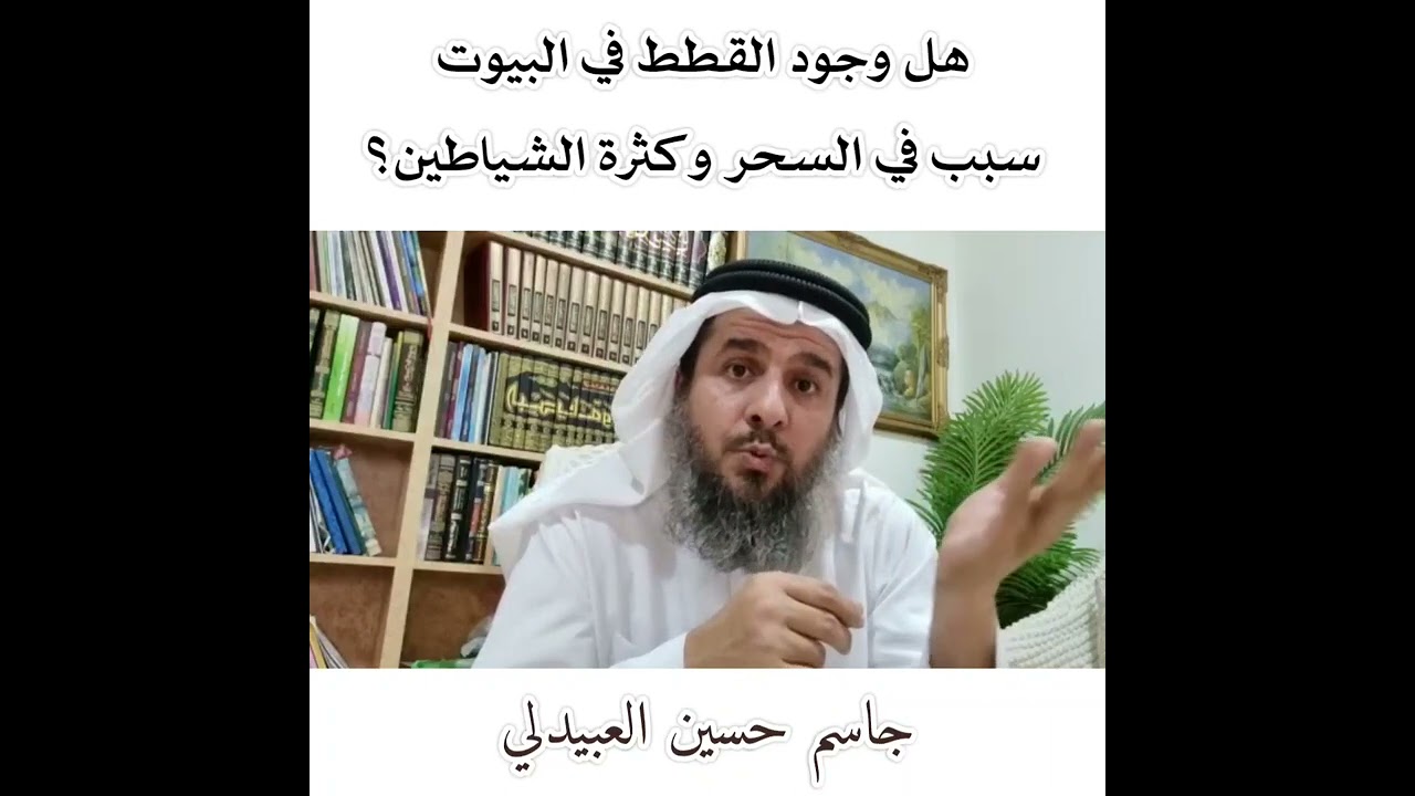 هل وجود القطط في البيوت سبب في السحر وكثرة الشياطين؟ | جاسم العبيدلي