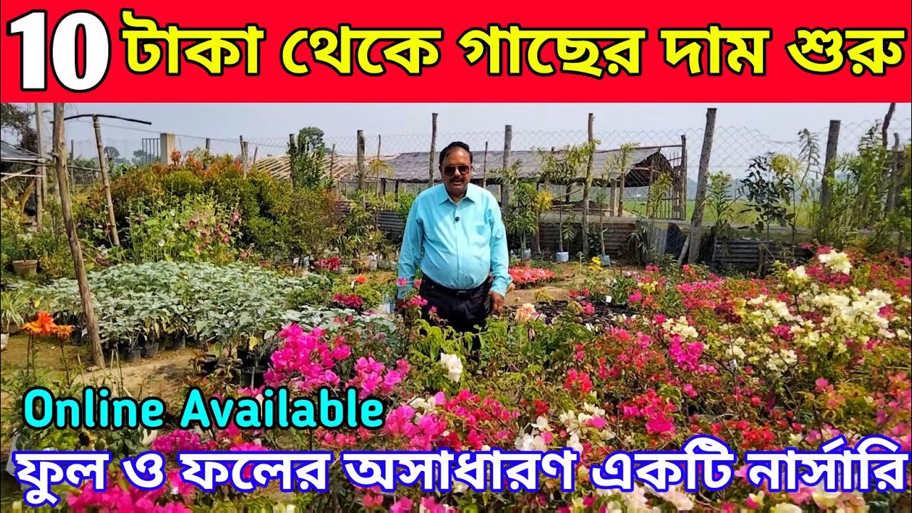 10 টাকা থেকে গাছের দাম শুরু || Green View Nursery || Part - 1 || Online Available ||