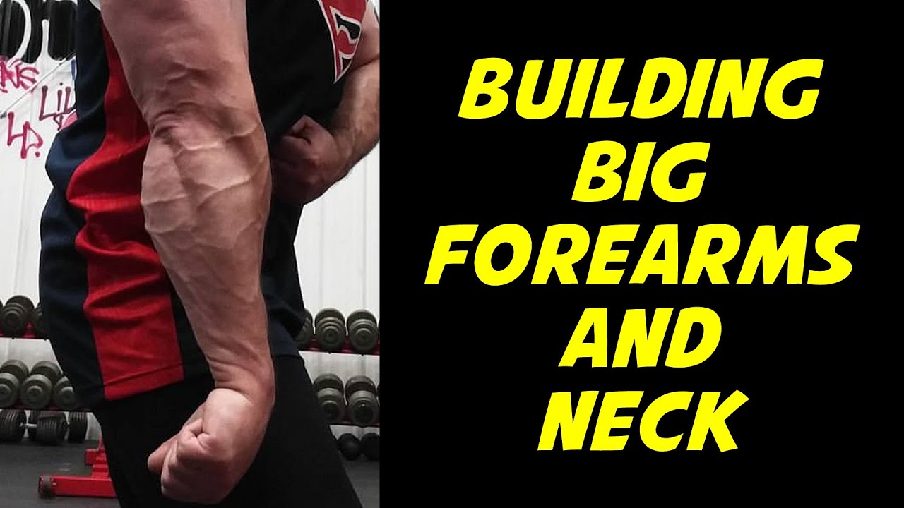 The REAL TRUTH About Forearm and Neck Workouts
