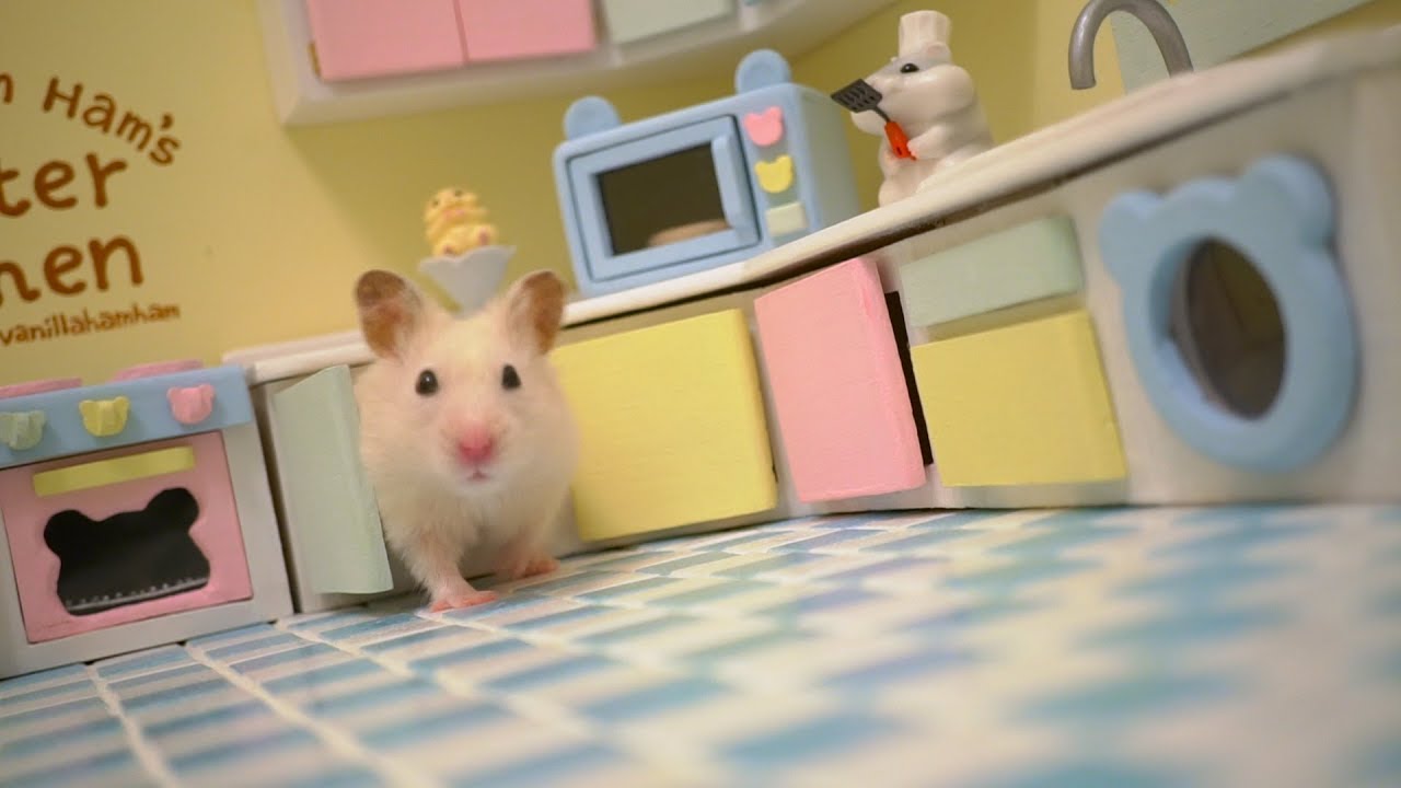 Tiny Hamster in his Tiny Kitchen II