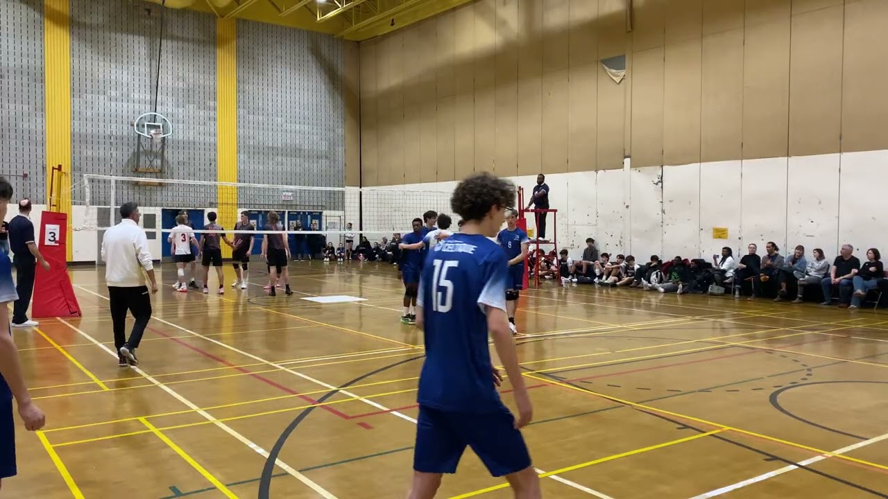 Set 1 Lynx
