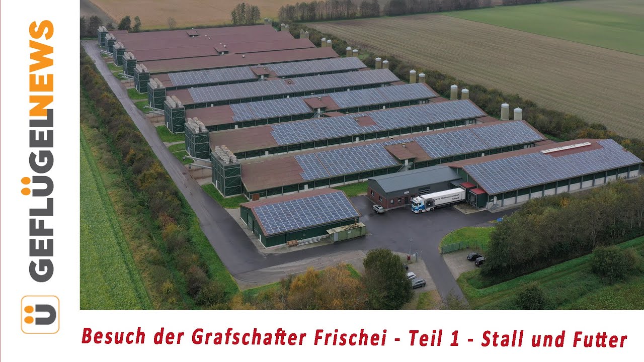 Besuch der Grafschafter Frischei - Hennen und Futter Teil 1/2