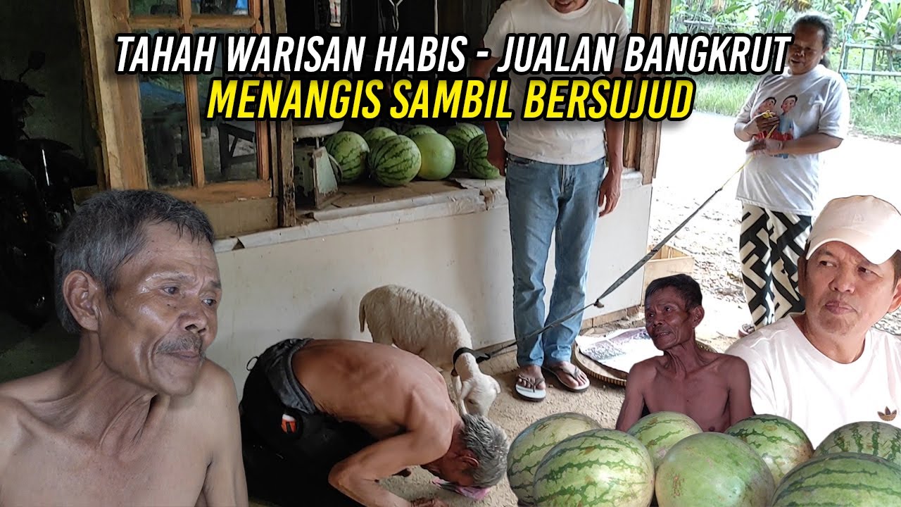 TANAH WARISAN DIJUAL | JUALAN BUAH BANGKRUT | KAKEK IWAN MENANGIS SAMBIL BERSUJUD