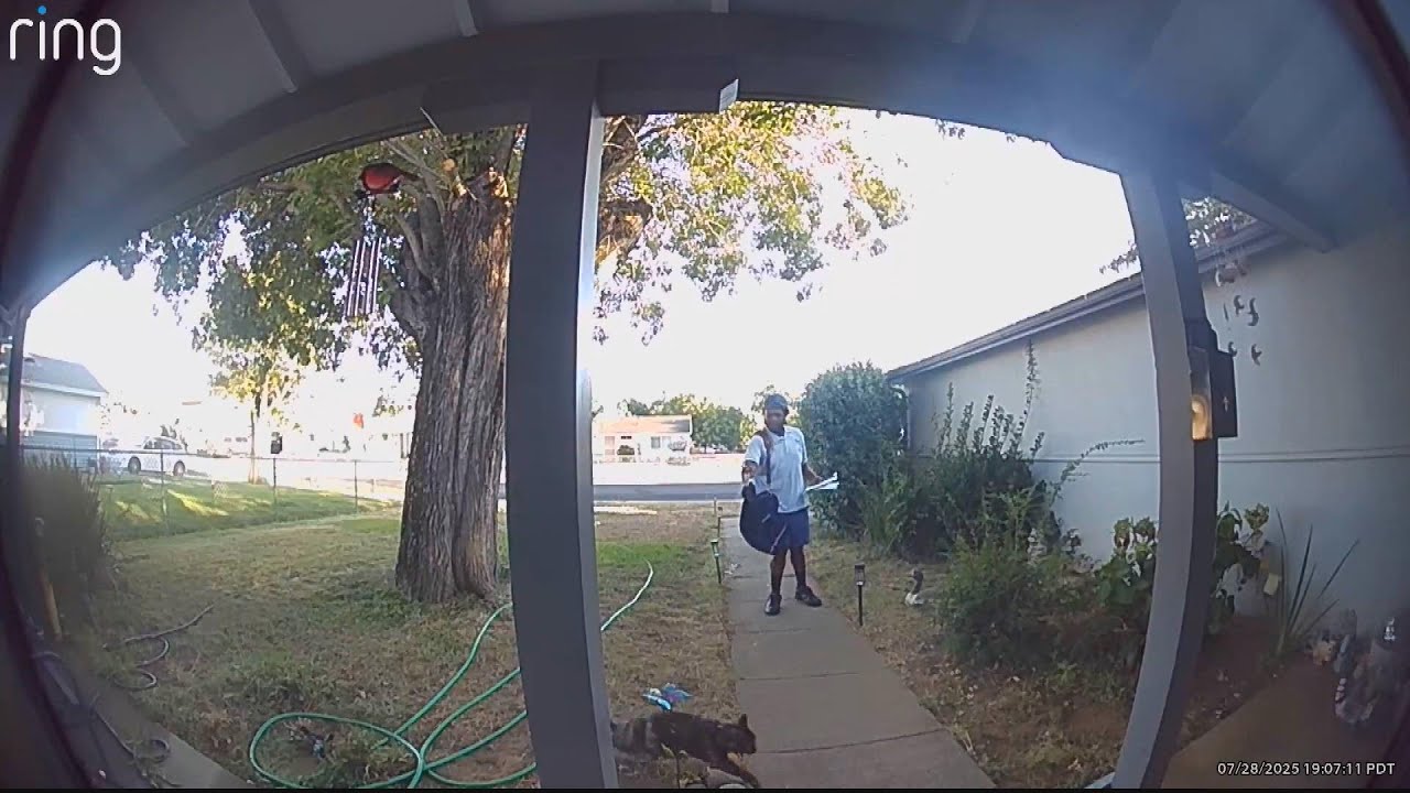 Did This Mailman Pepper Spray a Cat?