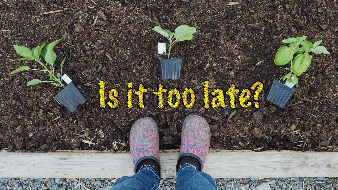 Is it too late to plant your garden?