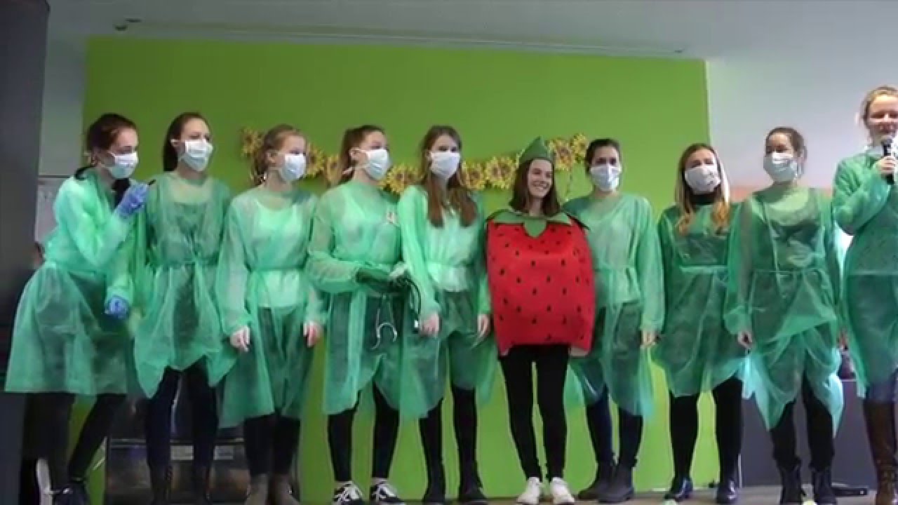Fasching 2016 HBLW Wels