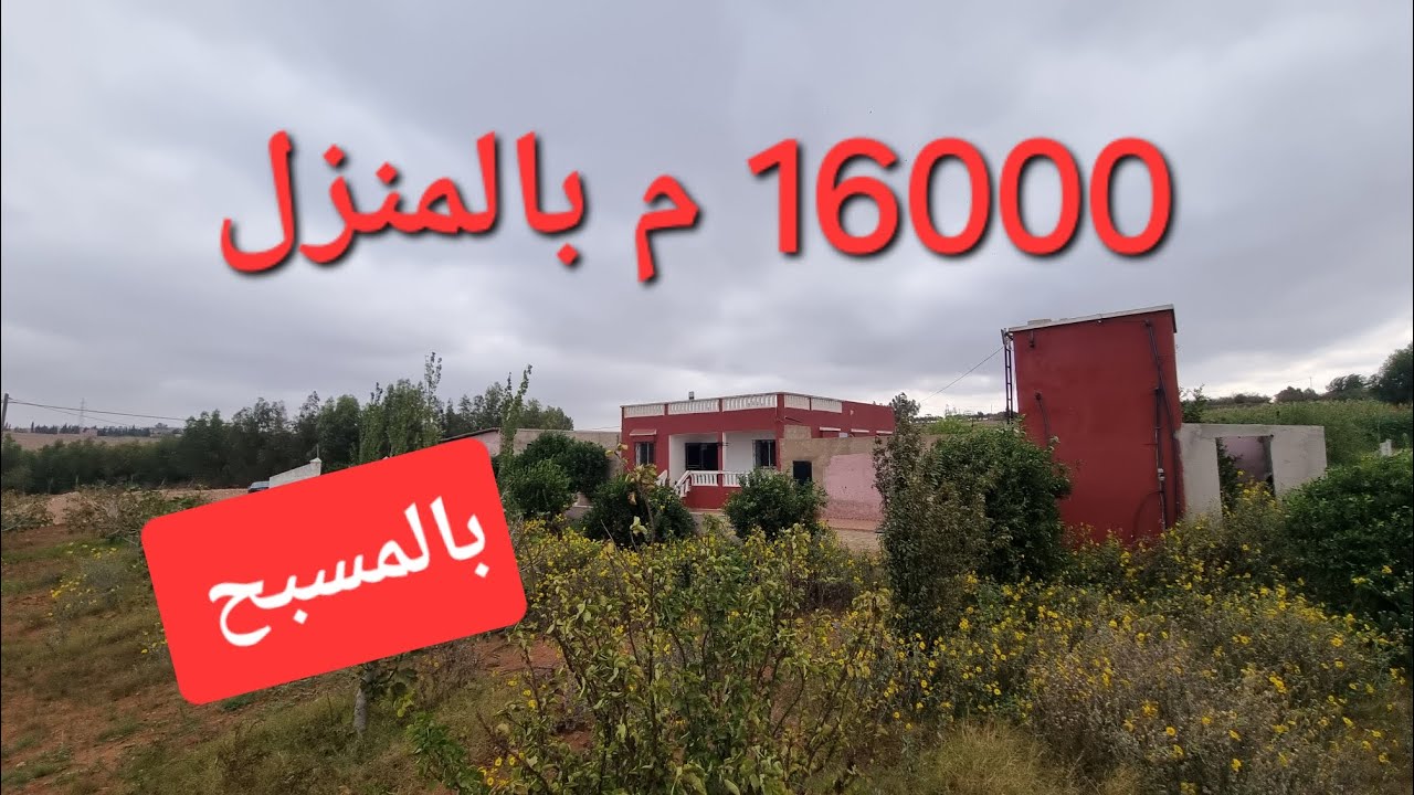 فيرمة رائعة 💒 بالمنزل والمسبح والكهرباء وبئر والأشجار المثمرة موقع جميل 0673426191