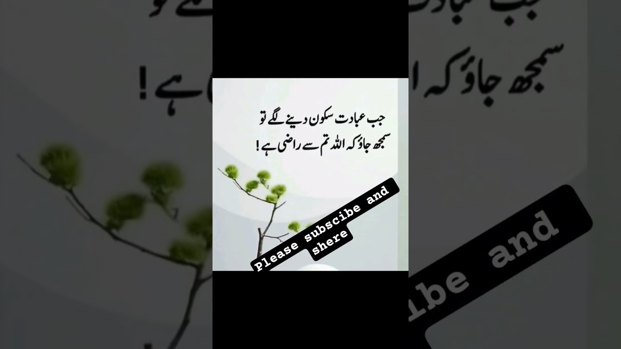 Jab ibadat Sakoon deny lagy🤲?      #UrduIslamicVideo #Ibadat #PeaceInIslam #Allah #Namaz #Dua #Faith
