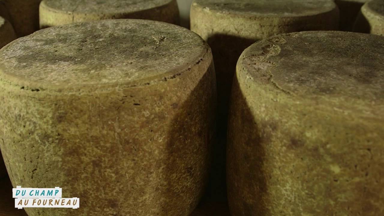 Fromagerie Bonal Extrait reportage émission 