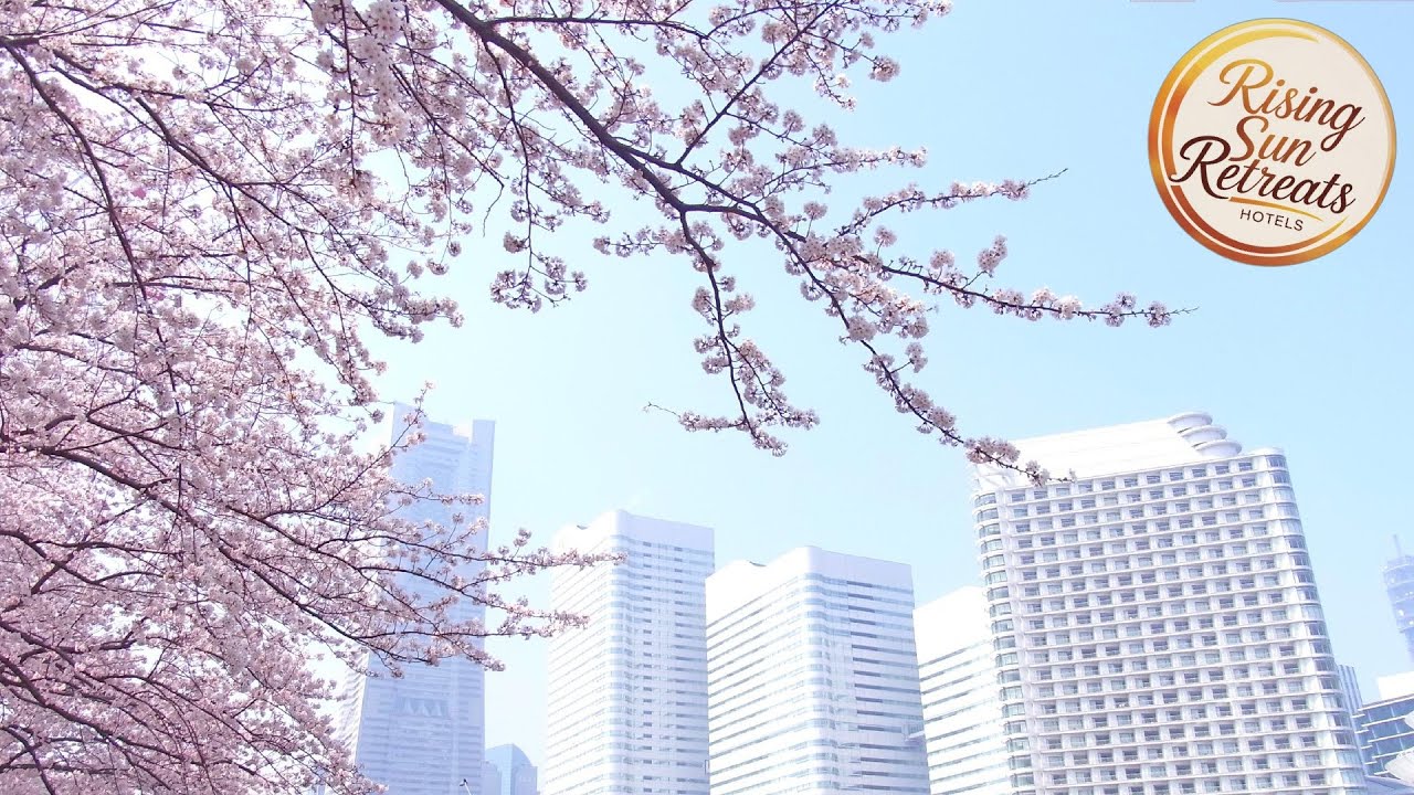 The Yokohama Bay Hotel Tokyu | Yokohama, Japan | Hotel Review ⭐