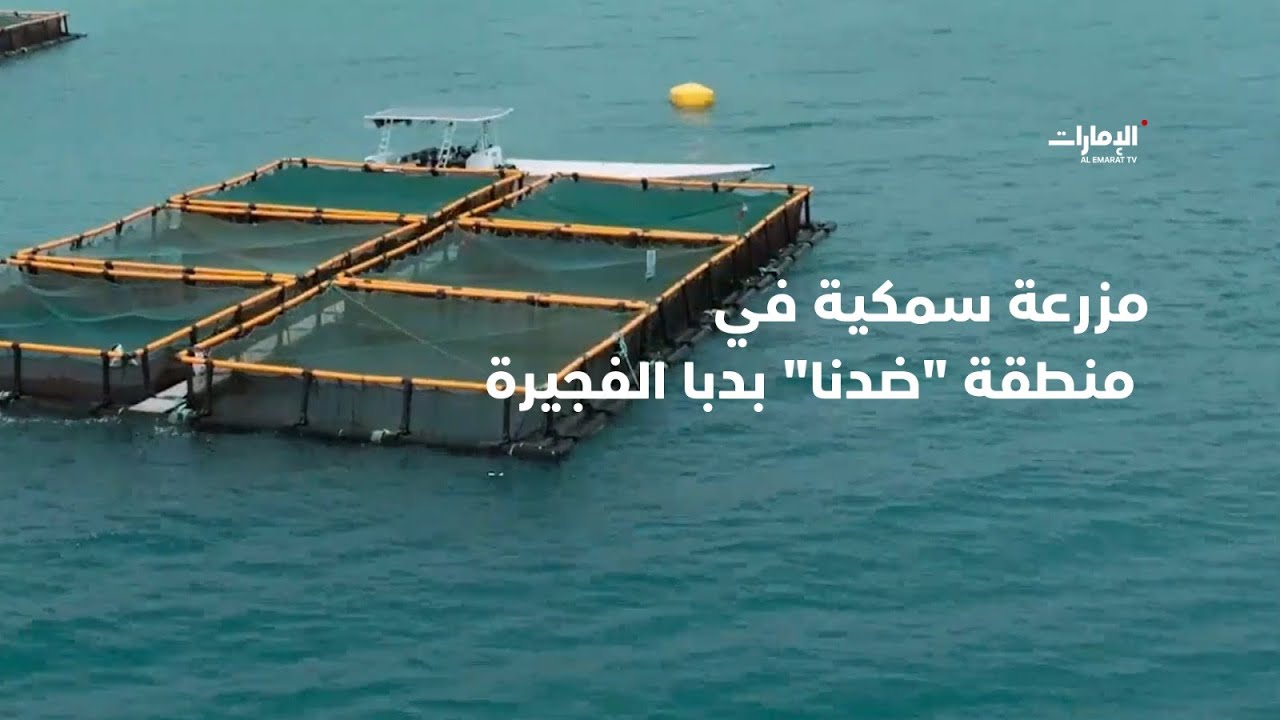 نأخذكم في جولة إلى المزرعة السمكية في منطقة 
