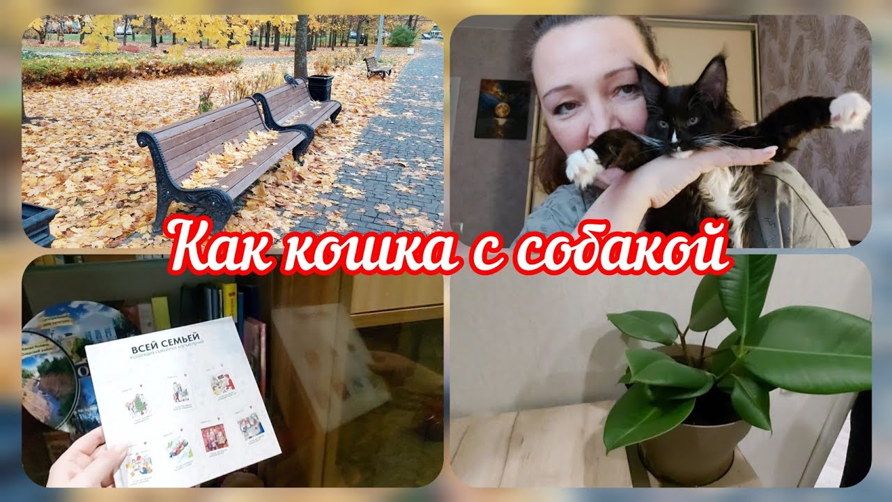 📽Я с вами прощаюсь👋Новая хозяйка в доме🐈‍⬛Лечу ногу, много болтовни #реальнаяжизнь 