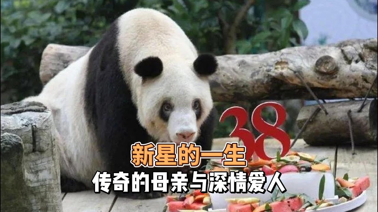最长寿的新星传奇一生，跨越天性的母女情和被传为佳话爱情故事