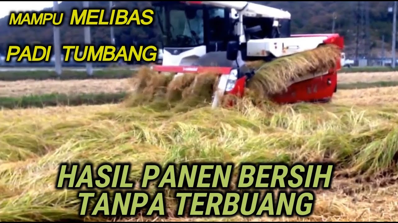 MESIN PEMANEN PADI LiBAS TAK TERSISA - COMBINE HARVESTER YANMAR AG 7114R