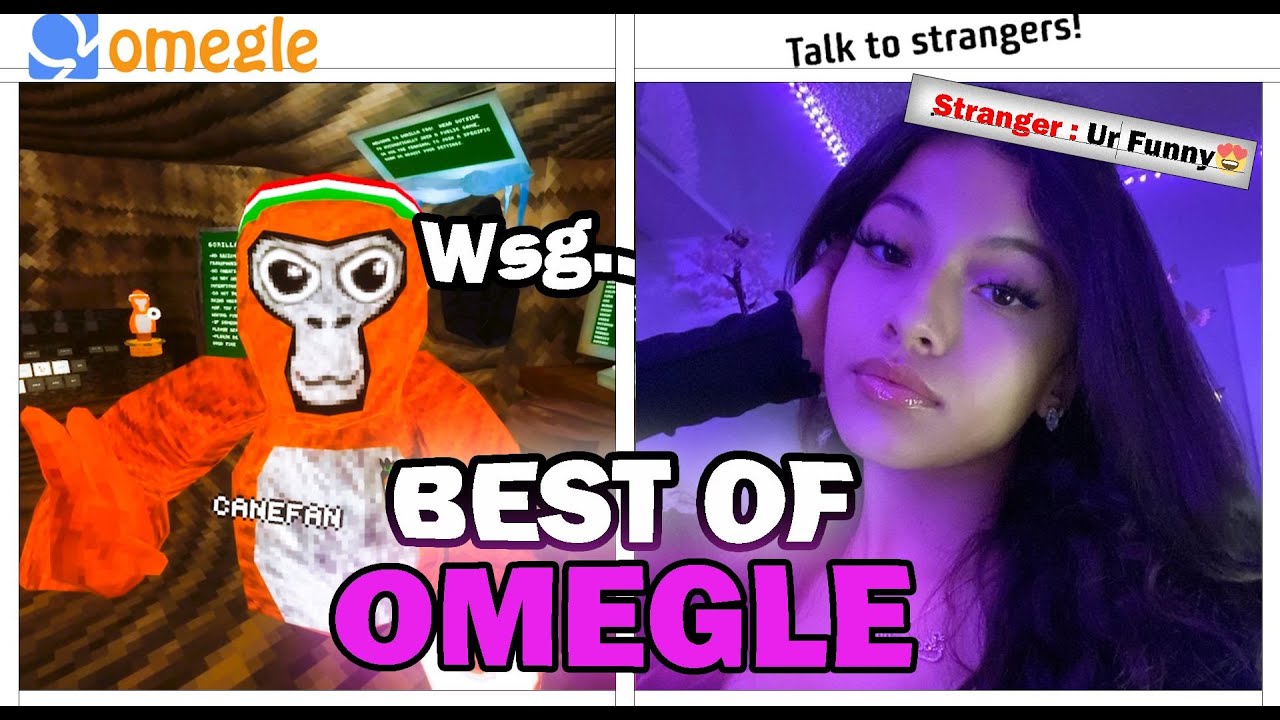 BEST OF OMEGLE In Gorilla Tag