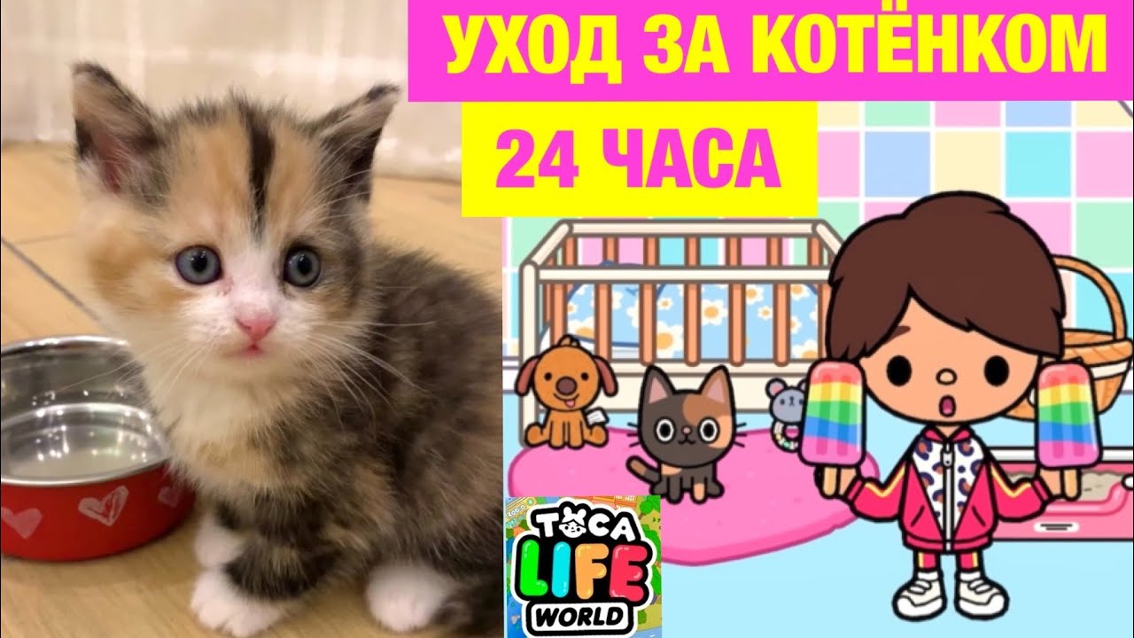 24 ЧАСА УХАЖИВАЮ за СПАСЁННЫМ КОТЁНКОМ в ТОКА БОКА 😿🍼🍭 Toca Life World