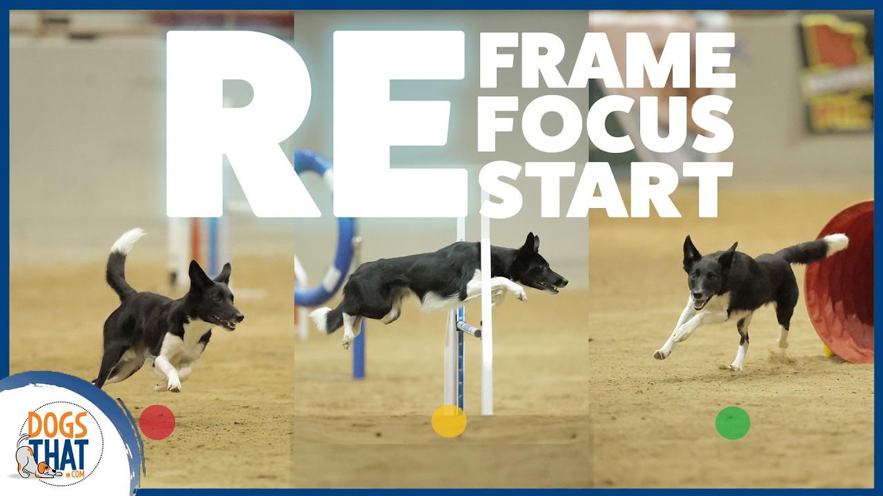 Training Challenges Are Feedback: What To Do When Things Don’t Go To Plan