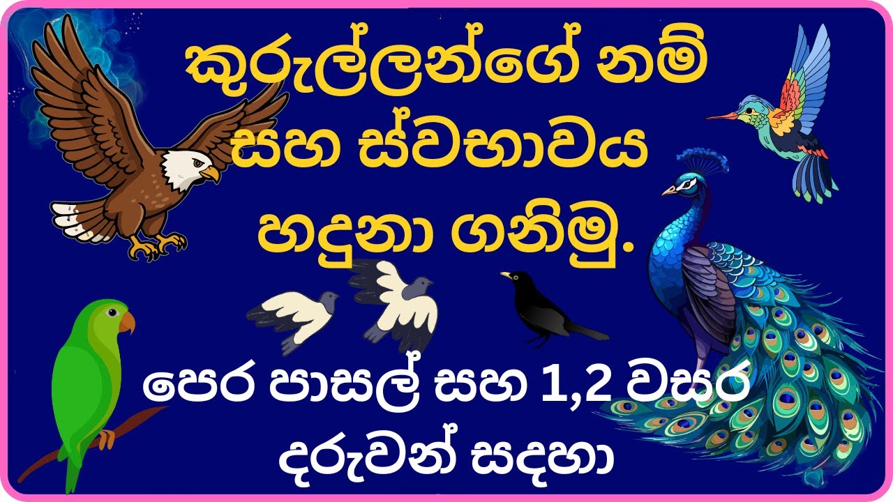 කුරුල්ලන්ගේ නම් සහ ස්වභාවය හදුනා ගනිමු. 
