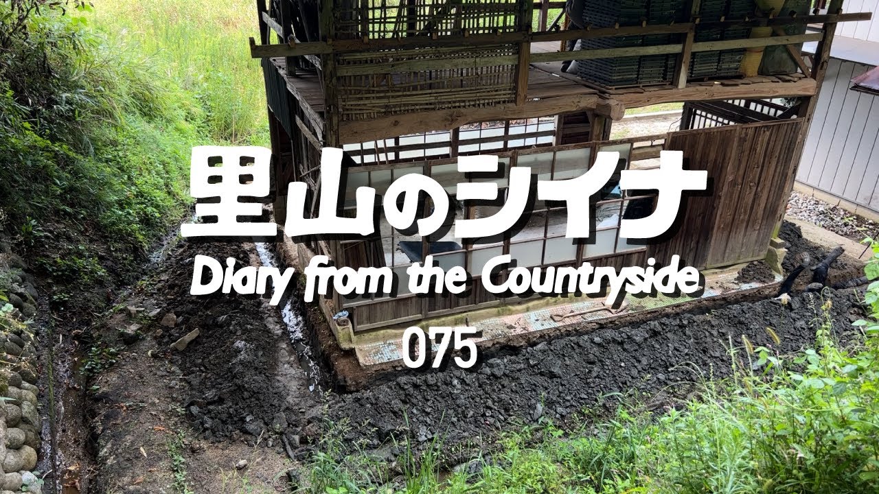 田舎暮らし 075：人力でやり切る！暗渠排水工事【古民家DIY】