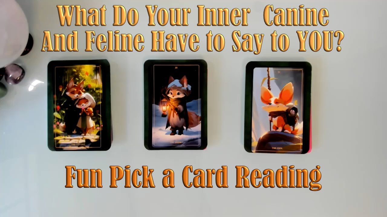 A DEBATE BETWEEN YOUR INNER CANINE AND FELINE ENERGIES - WHAT DO THEY SAY TO YOU? FUN PICK A CARD