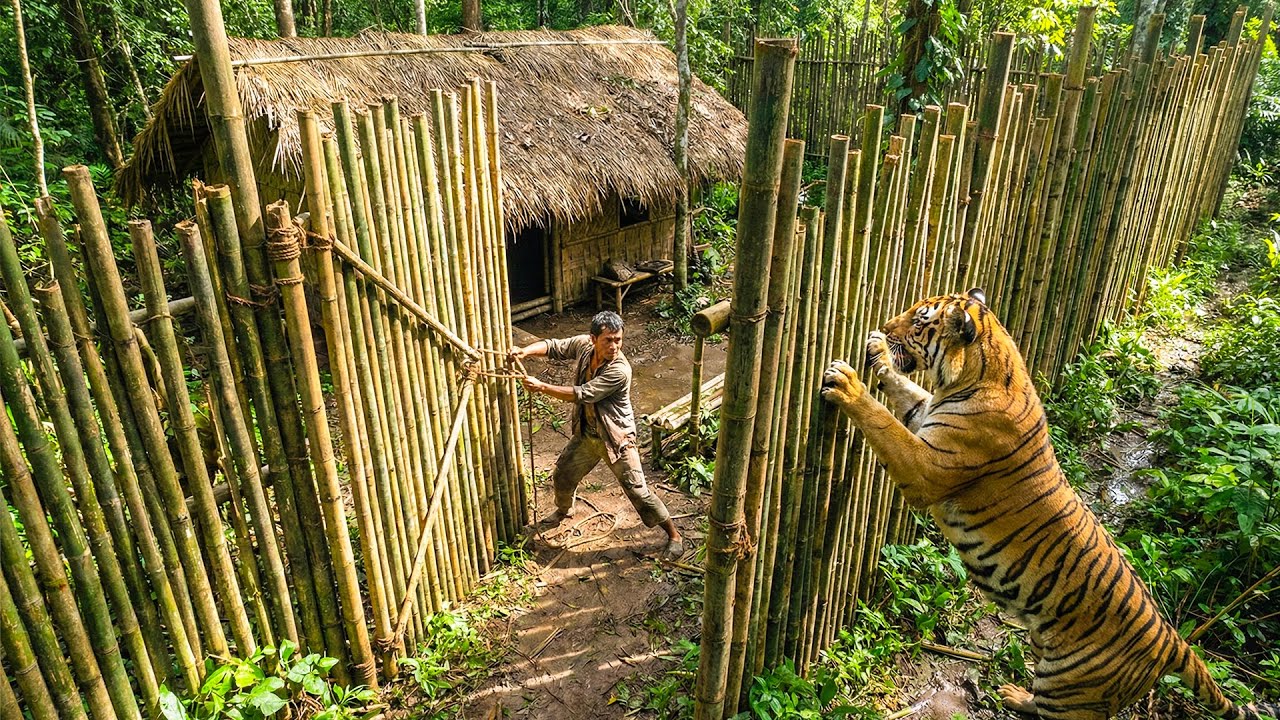 Building Strong Bamboo Fences & Gates to Protect My Forest House from Wild Animals