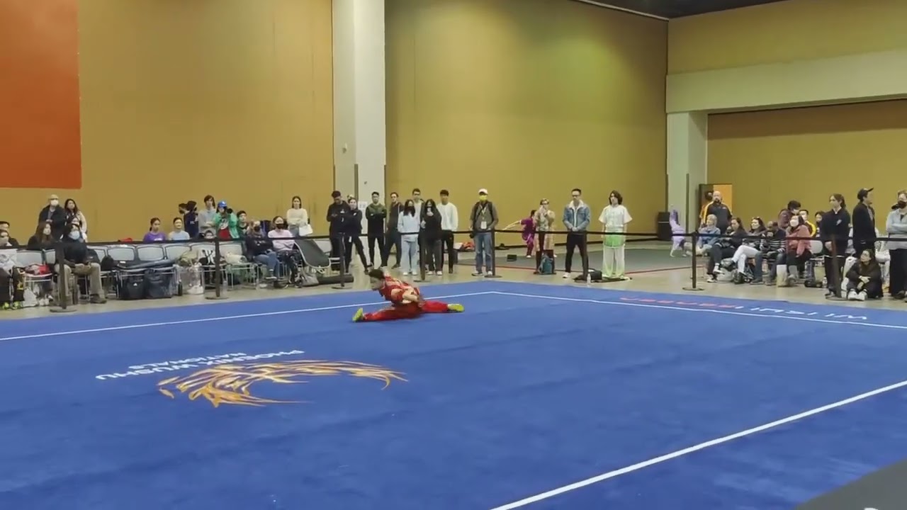 Zheng Zhou Long fist 2022 Phoenix wushu competition