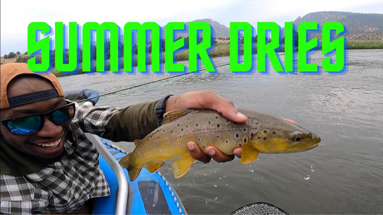Summer DRY FLIES - fly fishing