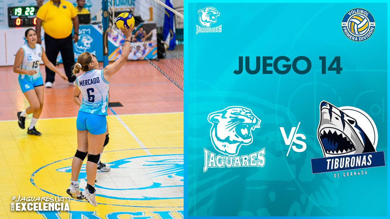 🏐🐆 U19 | Jaguares UAM vs Tiburonas de Granada