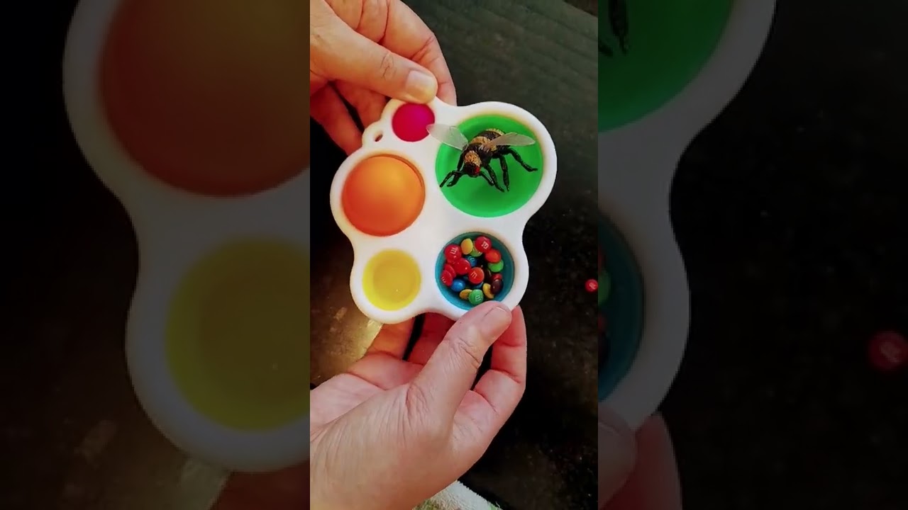 Watermelon Sugar 🐝 🍭 lollies #sensory #popit #fidget #shorts #autism #mms