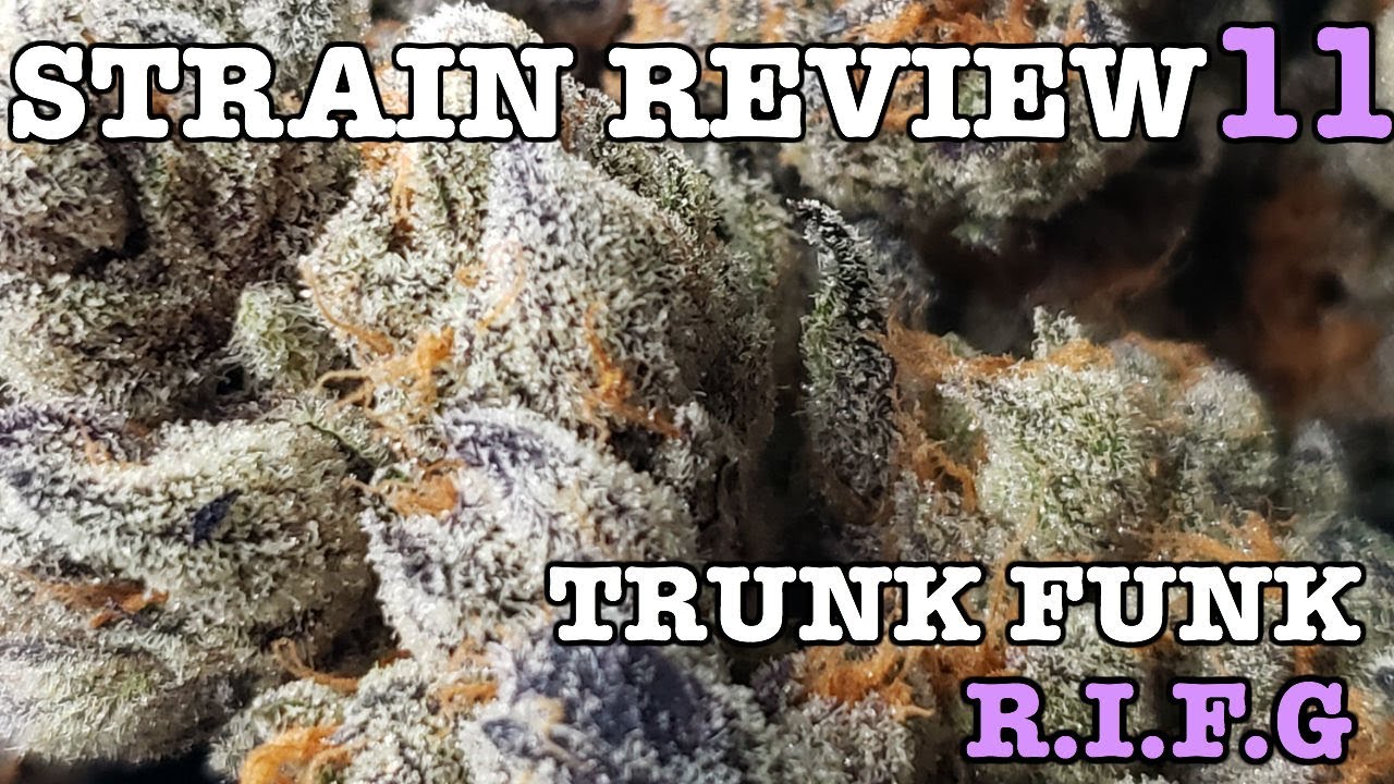 TRUNK FUNK STRAIN REVIEW 11 [ GROWERS ONLY CO ]