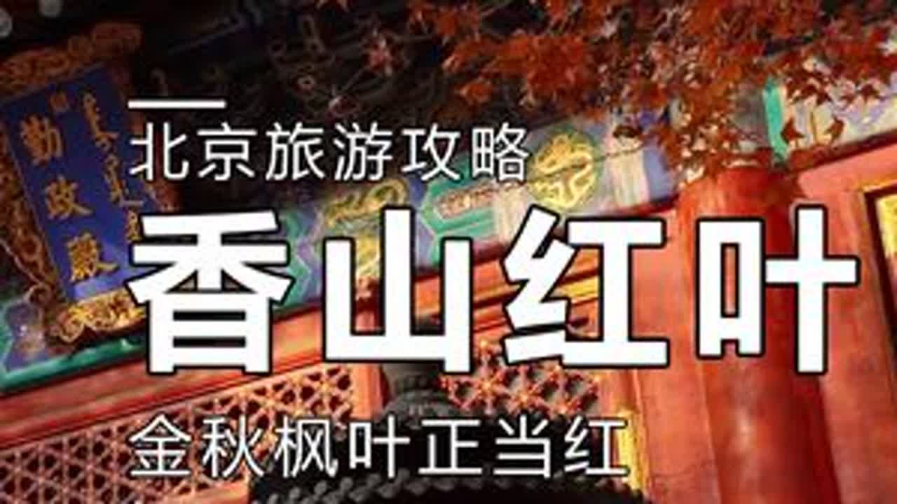 北京香山公园红叶最佳观赏时间 香山公园游览路线攻略。#香山叶正红 #北京旅游攻略 #香山红叶 #香山公园 #北京秋天美景 DOU+小助手 DOU+上热门